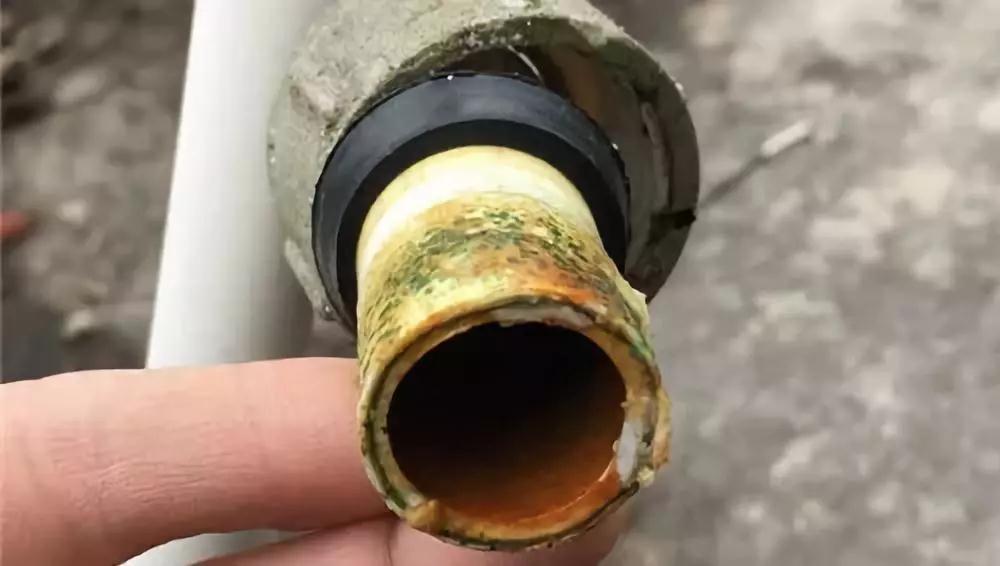 水管污染1 水管污染1