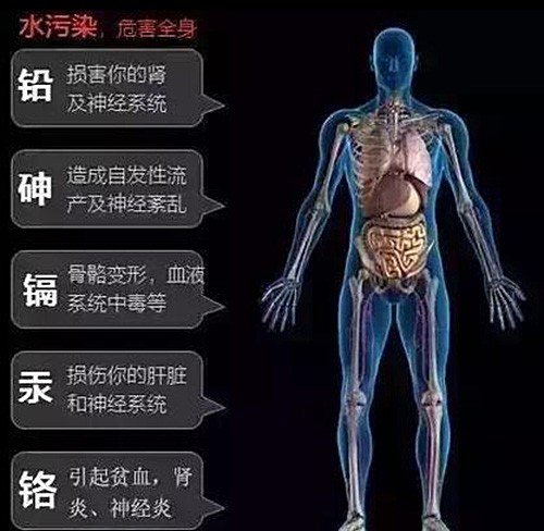 水污染對人體健康的影響與危害！